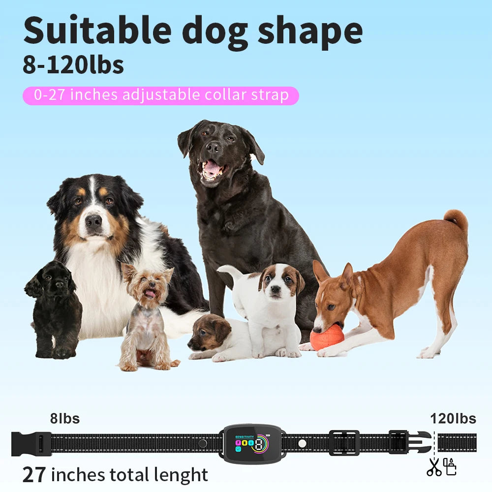 Dog Training Collar No Bark Control