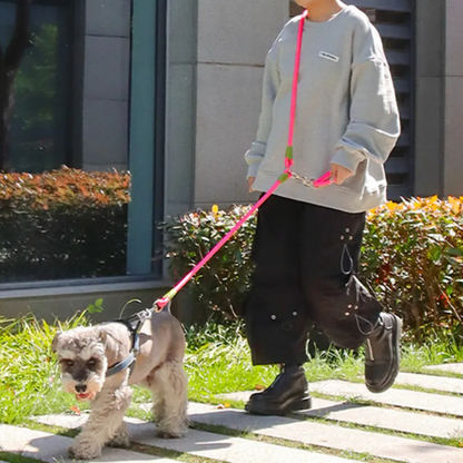 Durable Reflective Dog Leash For Large Breeds Running Walking
