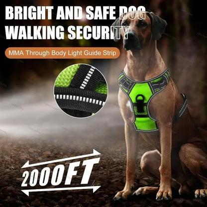 Visible Led Dog Vest Nighttime Walking Safety