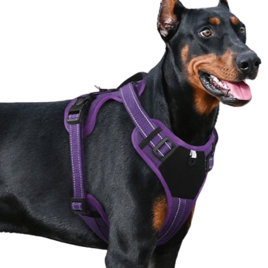 Puppy Training Harness Reflective Padded Vest