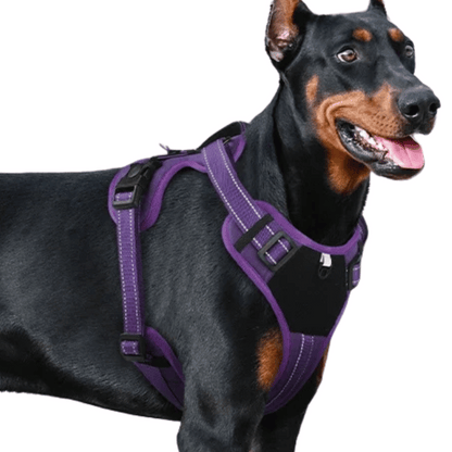 Puppy Training Harness Reflective Padded Vest