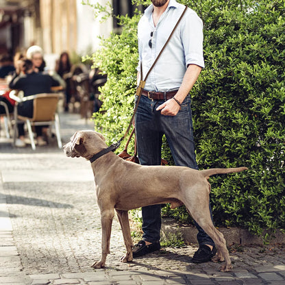 Adjustable Running Dog Leash Strap
