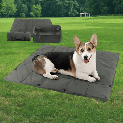 Portable Pet Bed Carrier Foldable Outdoor Use - Pupporia