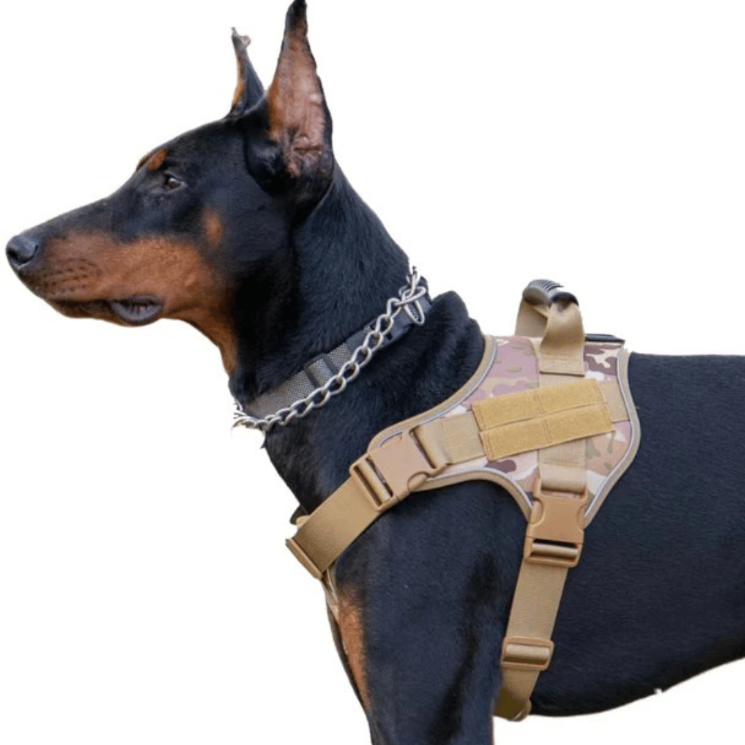 Durable Dog Training Vest Heavy Duty Harness - Pupporia