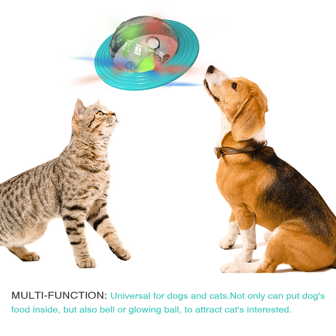 Interactive Dog Toy Slow Feeder Puzzle