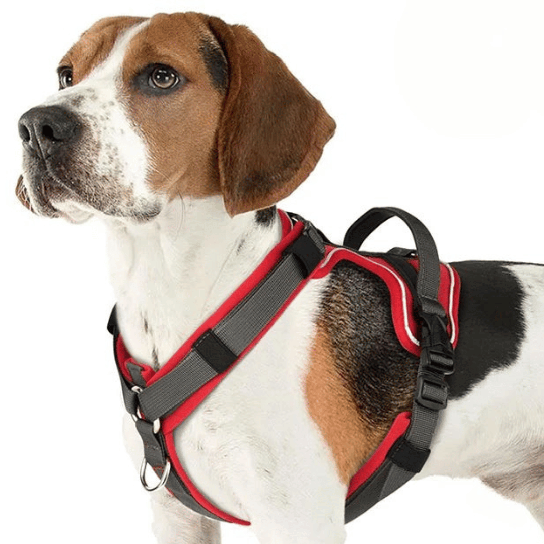 Puppy Harness Vest Secure Grip Adjustable