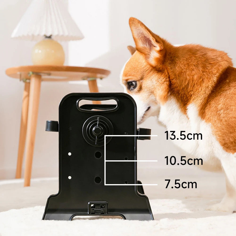 Stainless Steel Elevated Dog Feeder With Two Bowls