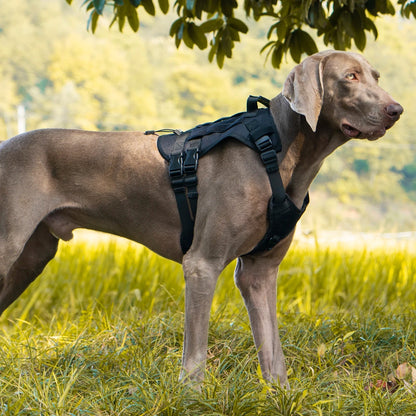 Large Breed Dog Vest With Handle Heavy Duty