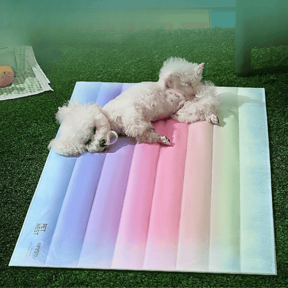 Water Resistant Dog Bed Mat Durable Cooling Pet Bed