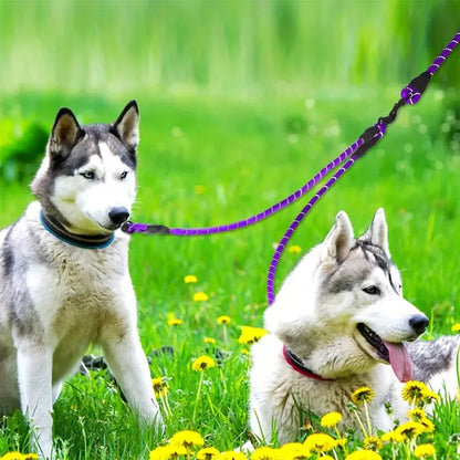 Extra Long Pet Leash Extender Tangle Swivel Clip