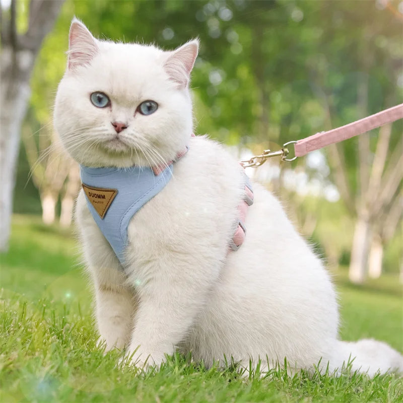 Purrfect Cat Harness And Leash Set