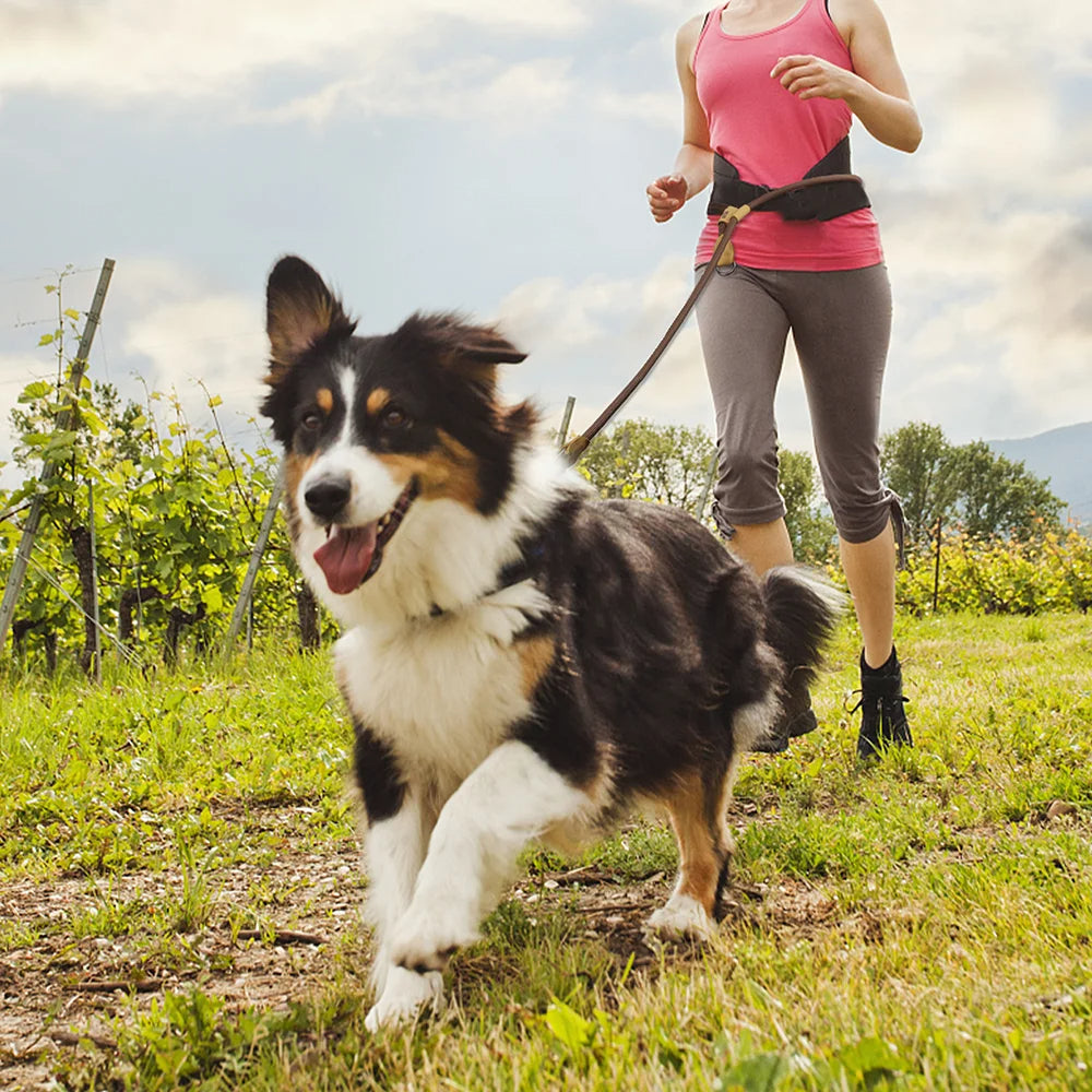 Adjustable Running Dog Leash Strap