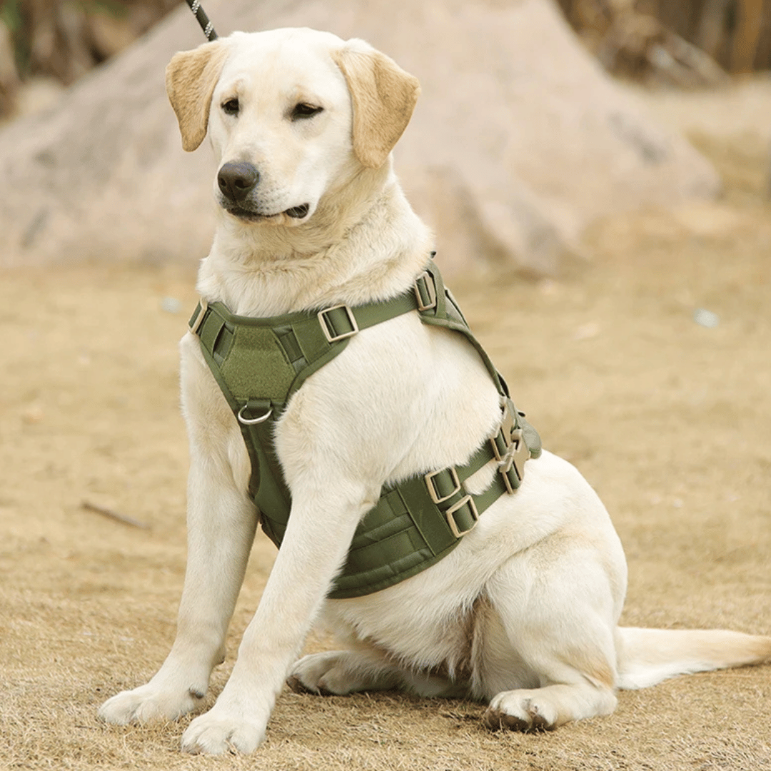 Large Breed Dog Vest With Handle Durable Outdoor