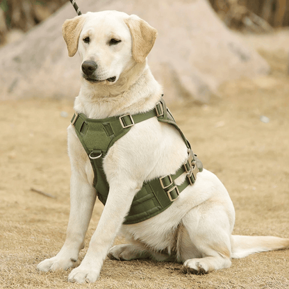 Large Breed Dog Vest With Handle Durable Outdoor