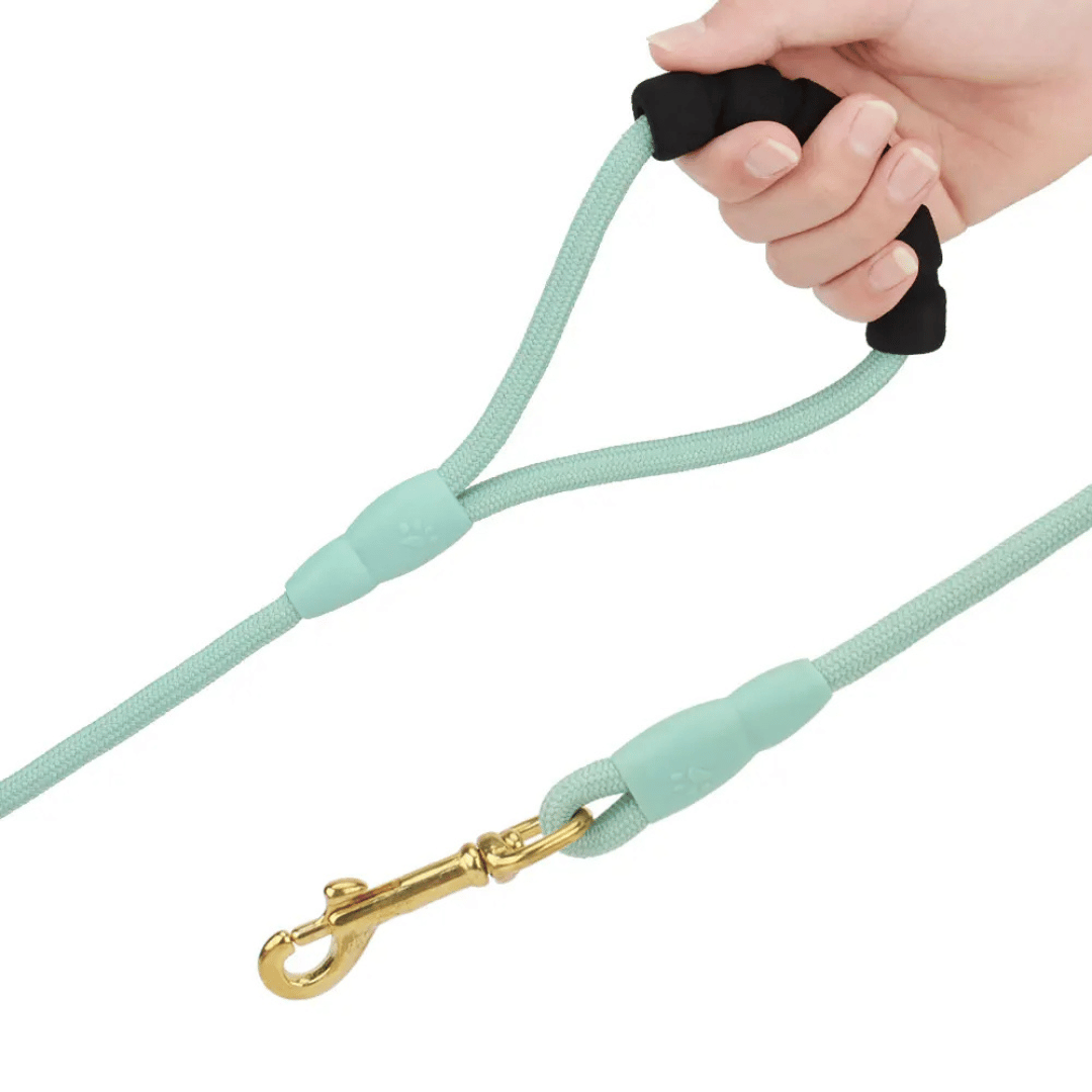 Long Dog Leash Soft Grip Handle