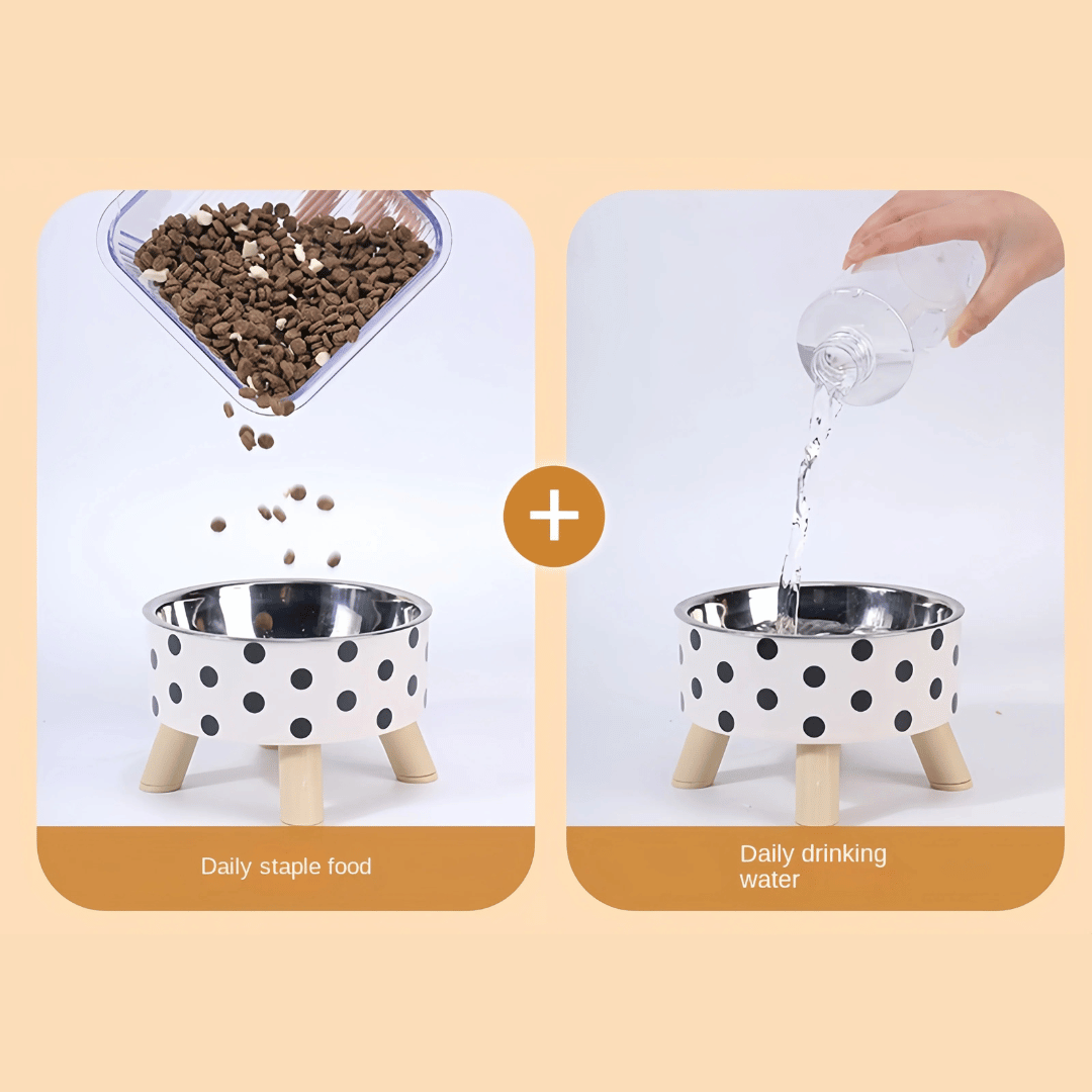 Elevated Dog Food Bowl Stainless Steel Non Slip Base