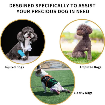 Support Harness For Senior Dogs Comfortable