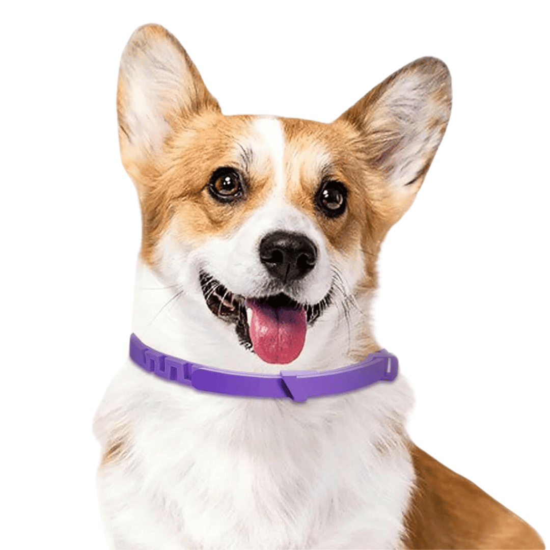 Dog Anxiety Collar Natural Pheromones