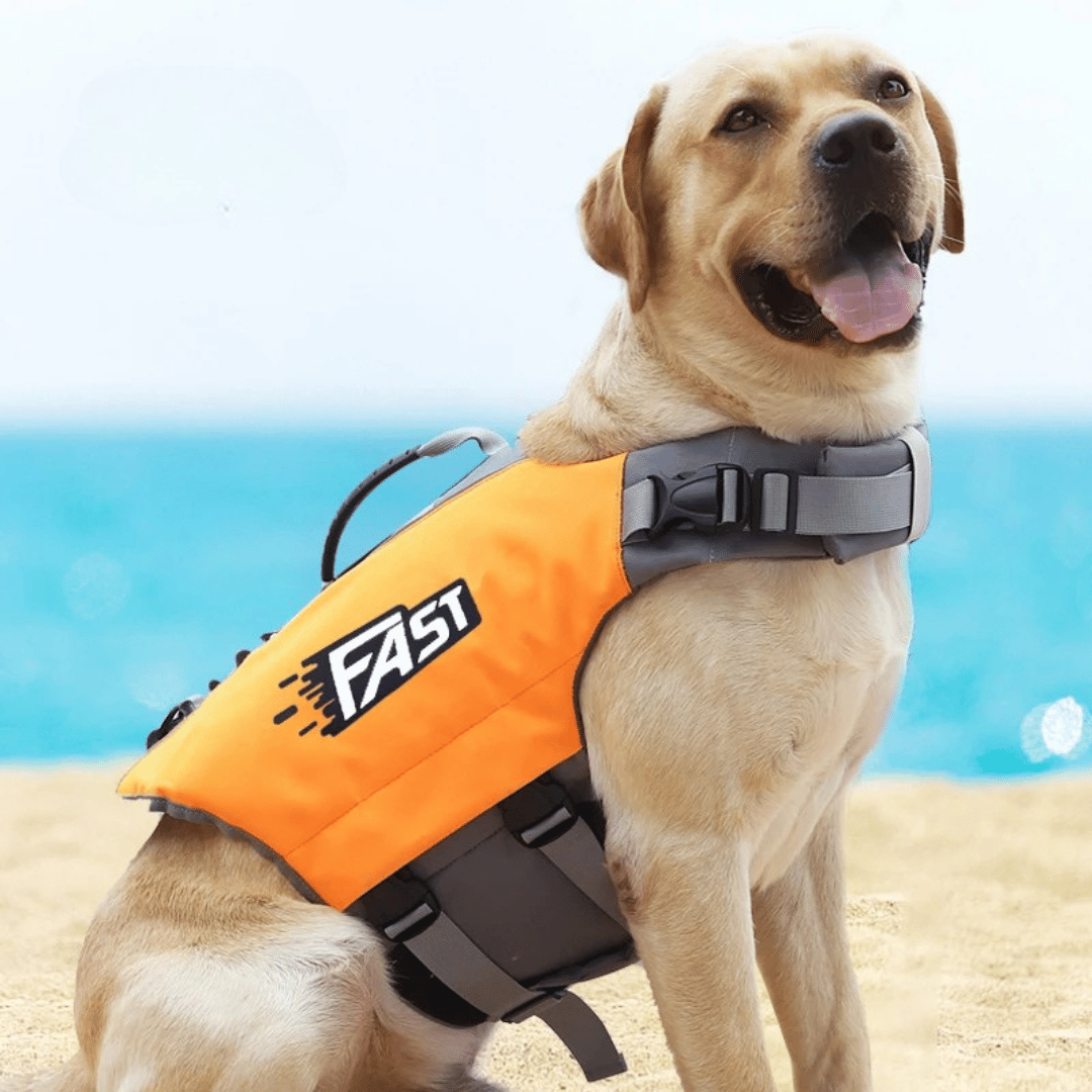Dog Life Jacket Swimming Vest