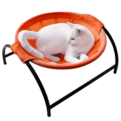 Wooden Cat Hammock Bed Solid Frame