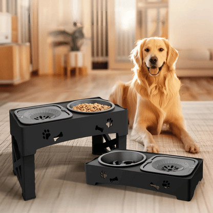 Adjustable Elevated Dog Feeder Stand