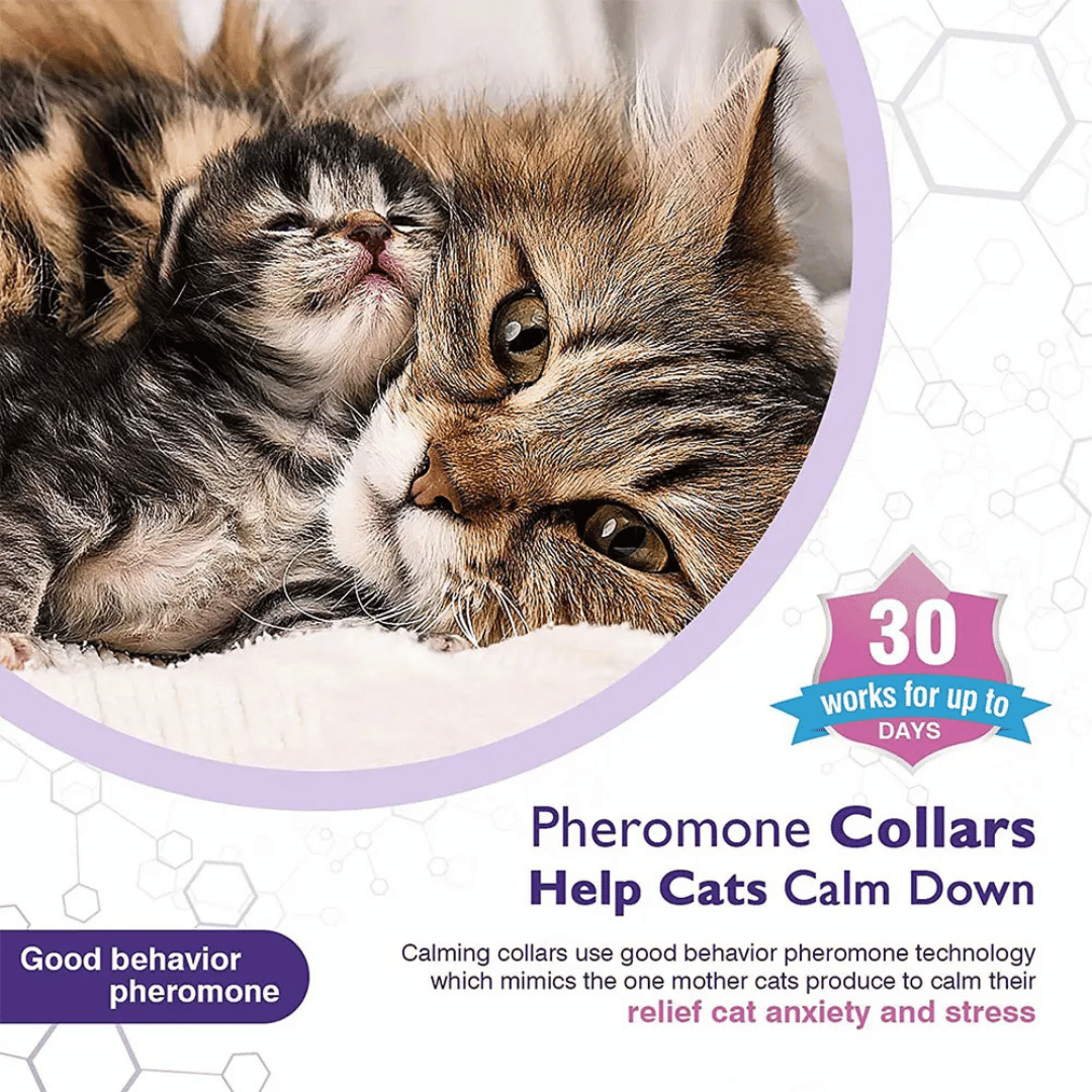 Cat Calming Collar Soothing Pheromones