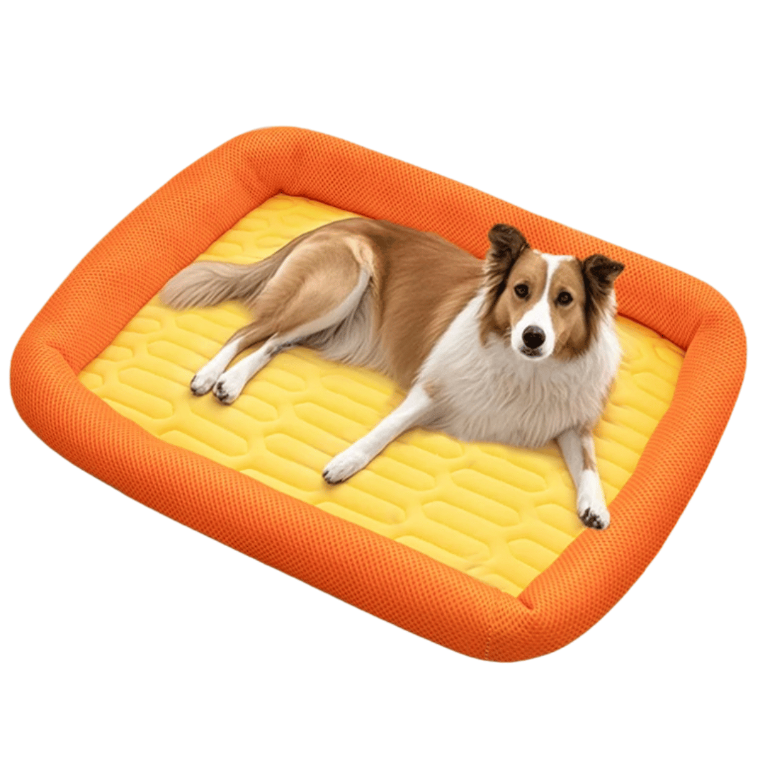 Pet Cooling Mat Breathable Mesh Support