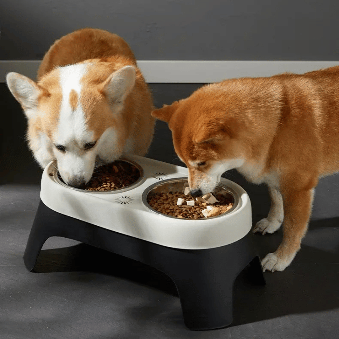 Stainless Steel Elevated Pet Feeder with Durable Bowls