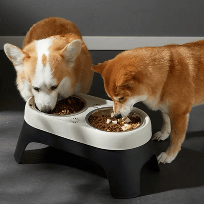 Stainless Steel Elevated Pet Feeder with Durable Bowls