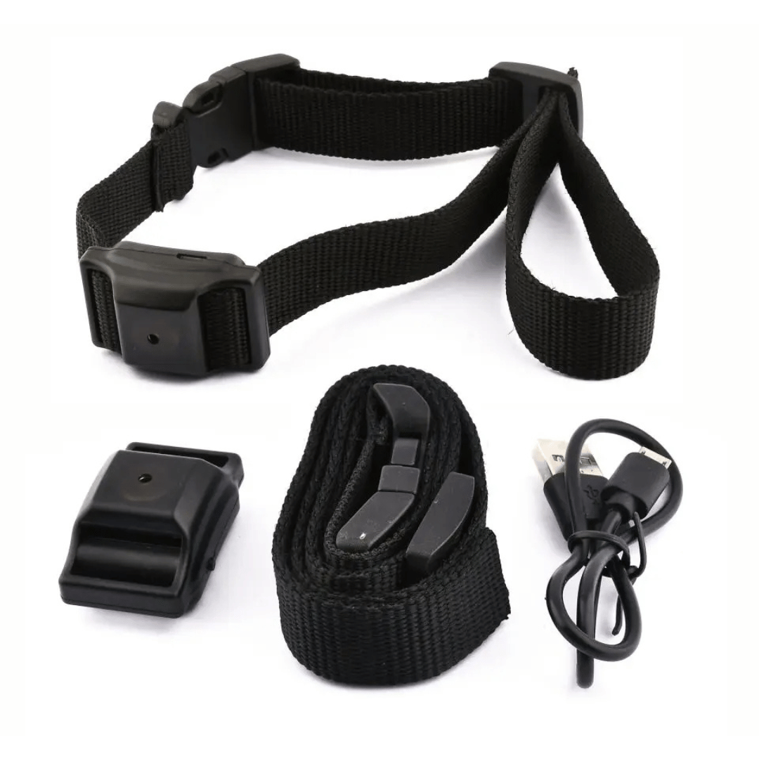 Dog Anti Bark Training Collar Small Pets