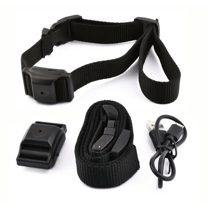 Dog Anti Bark Training Collar Small Pets