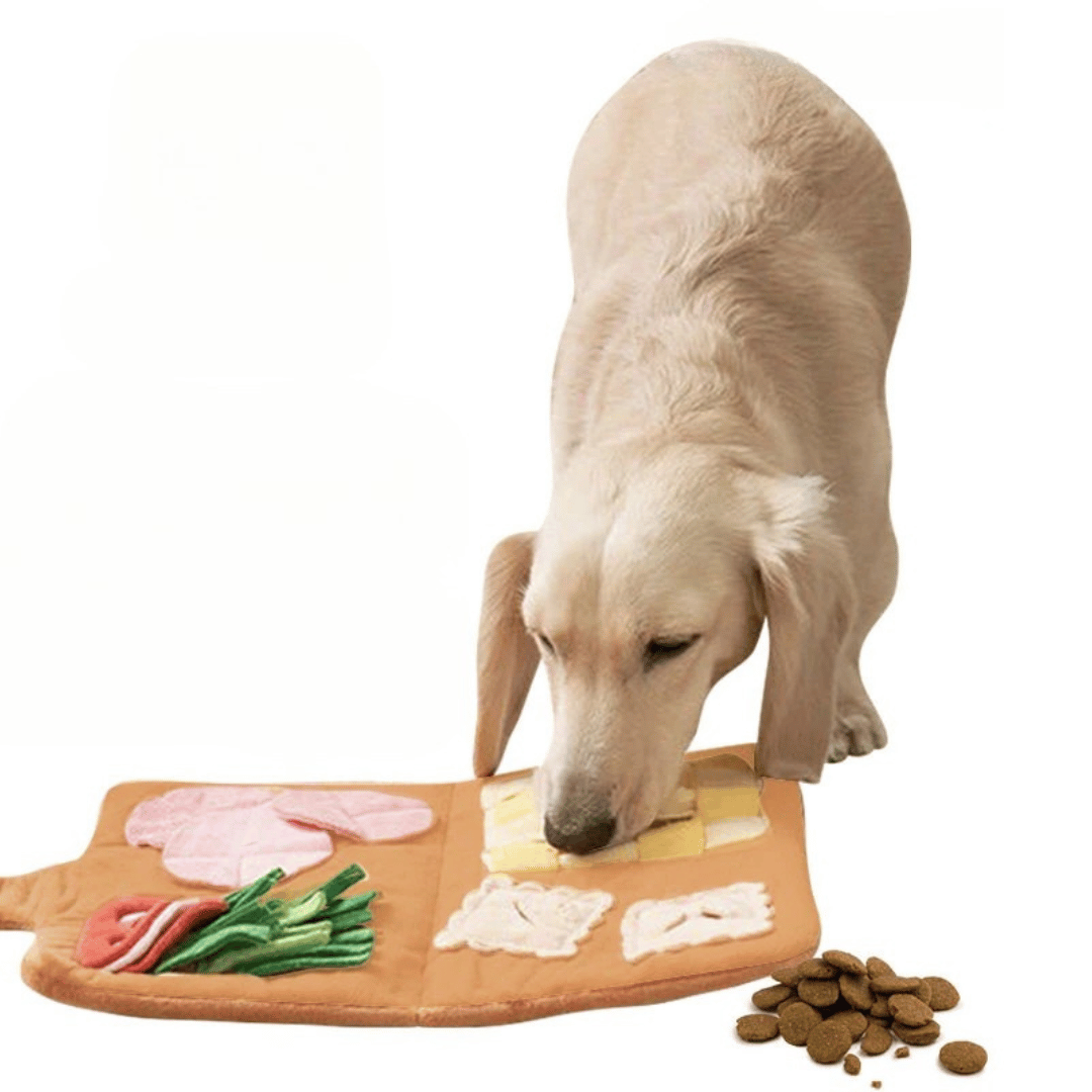 Interactive Dog Treat Dispensing Feeding Mat