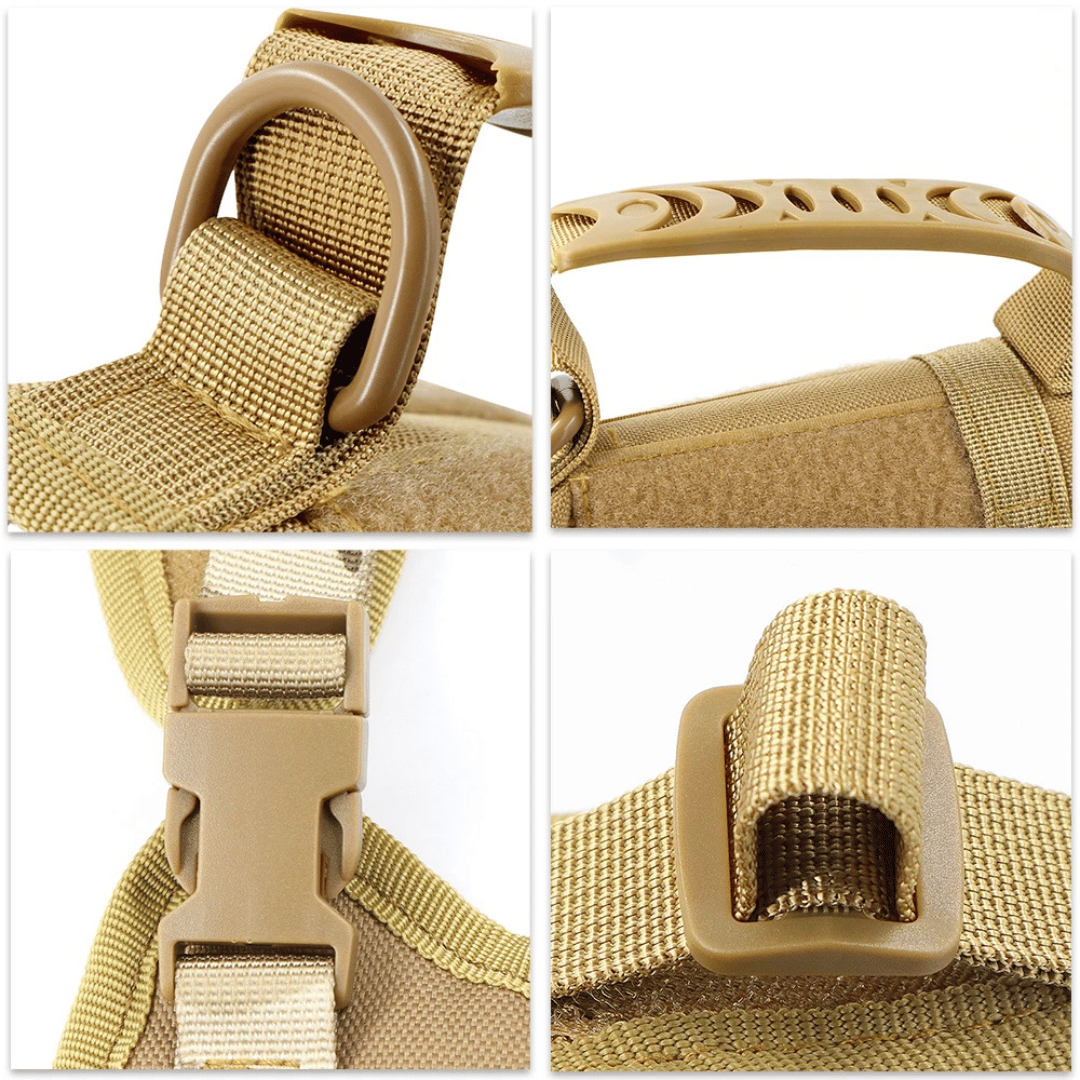 Durable Cat Vest And Leash Set