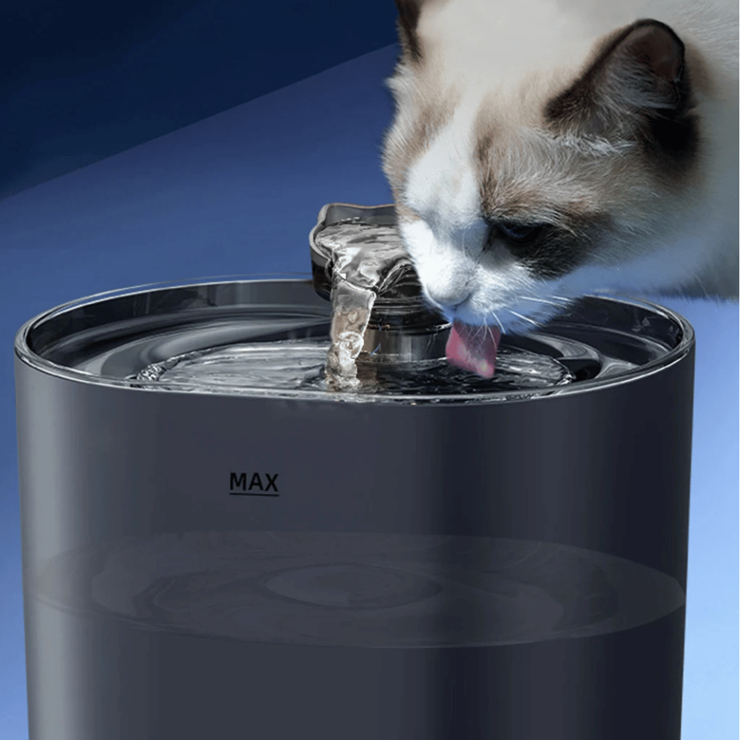 Pet Water Dispenser For Cats