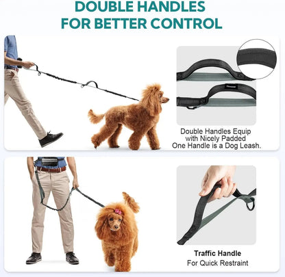 Adjustable Bungee Dog Leash with Pocket