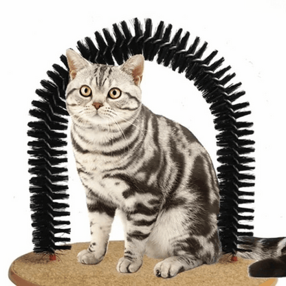 Cat Arch Grooming Brush Scratch Play