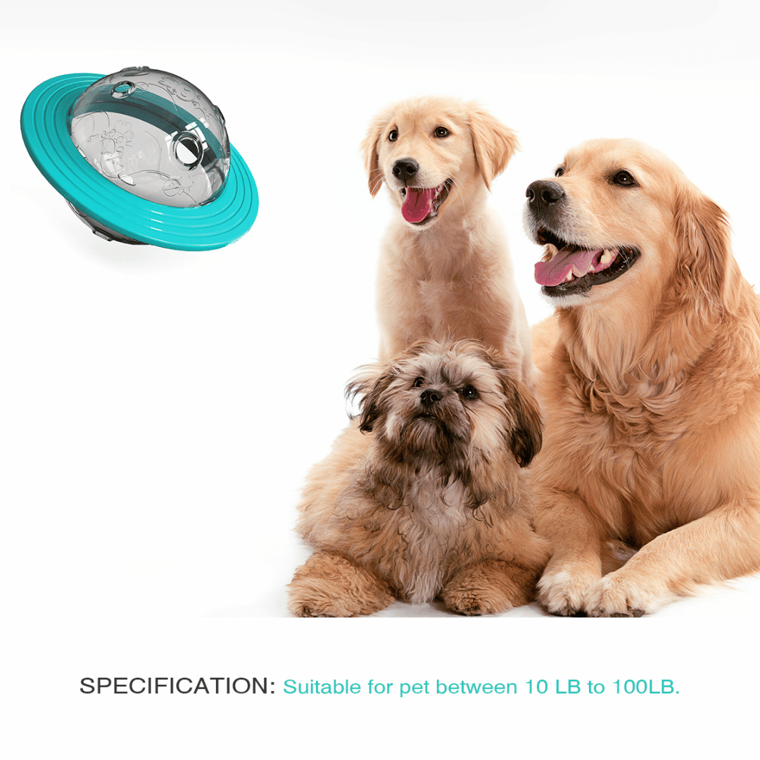 Interactive Dog Toy Slow Feeder Puzzle