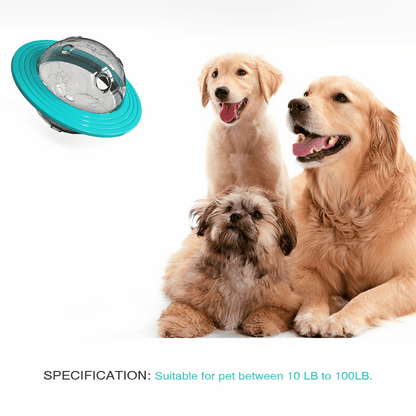 Interactive Dog Toy Slow Feeder Puzzle