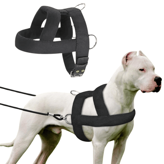 Tough Dog Pulling Harness Padded Support - Pupporia