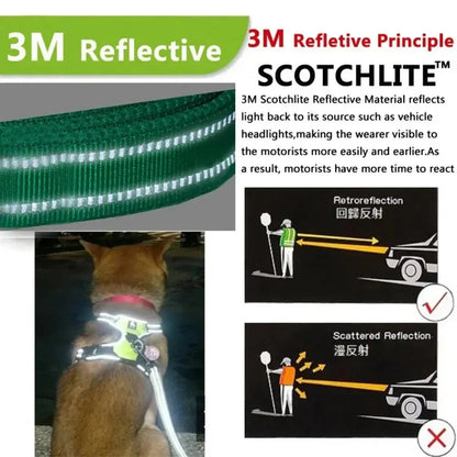 Puppy Walking Harness Reflective Safety Straps