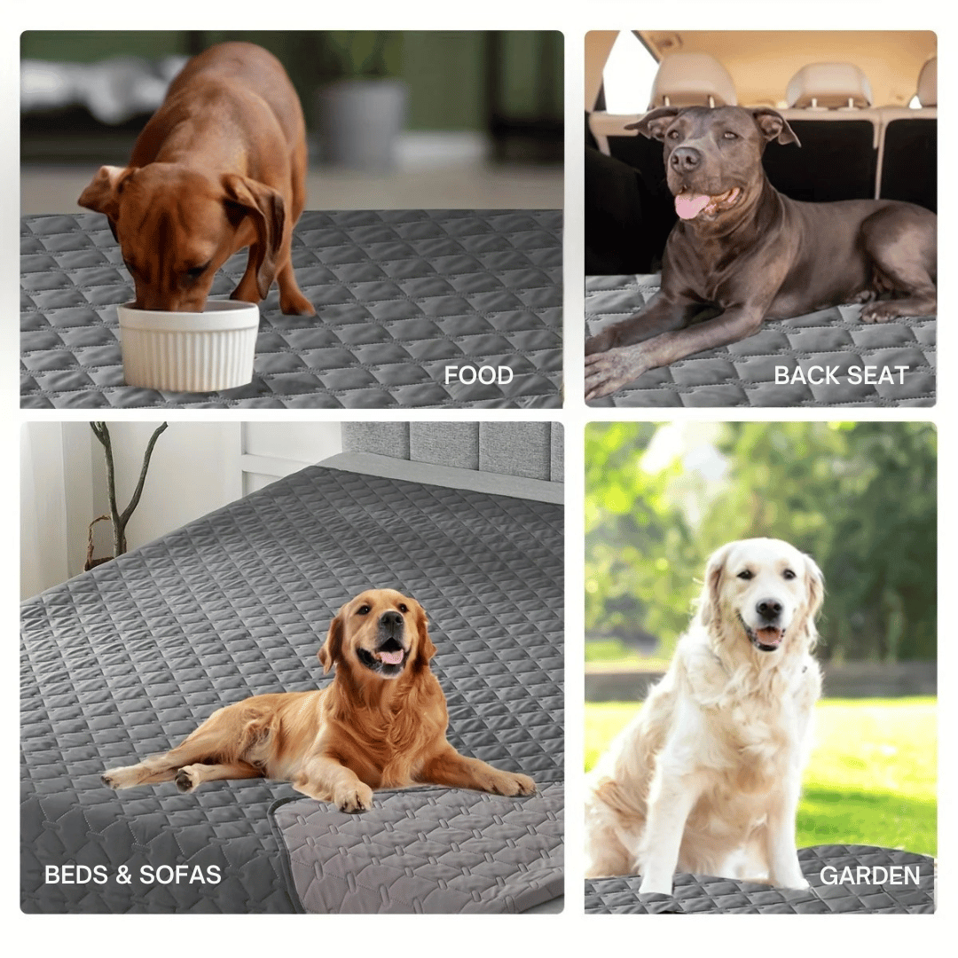Pet Sofa Cover Waterproof Blanket for Dogs