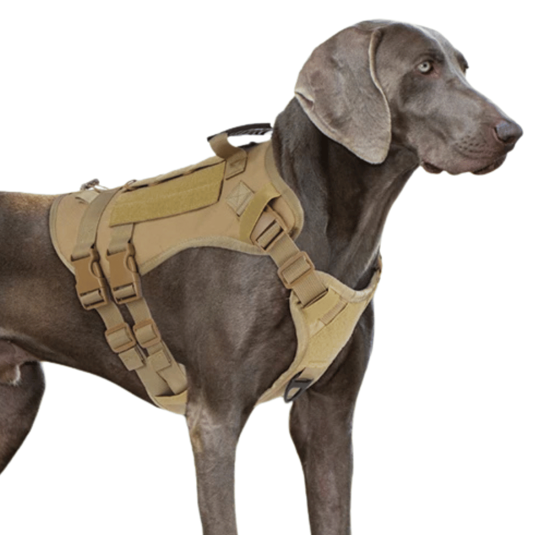 Large Breed Dog Vest With Handle Heavy Duty