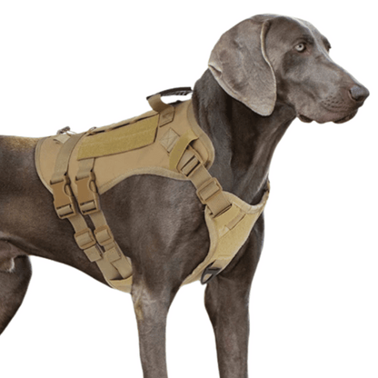Large Breed Dog Vest With Handle Heavy Duty