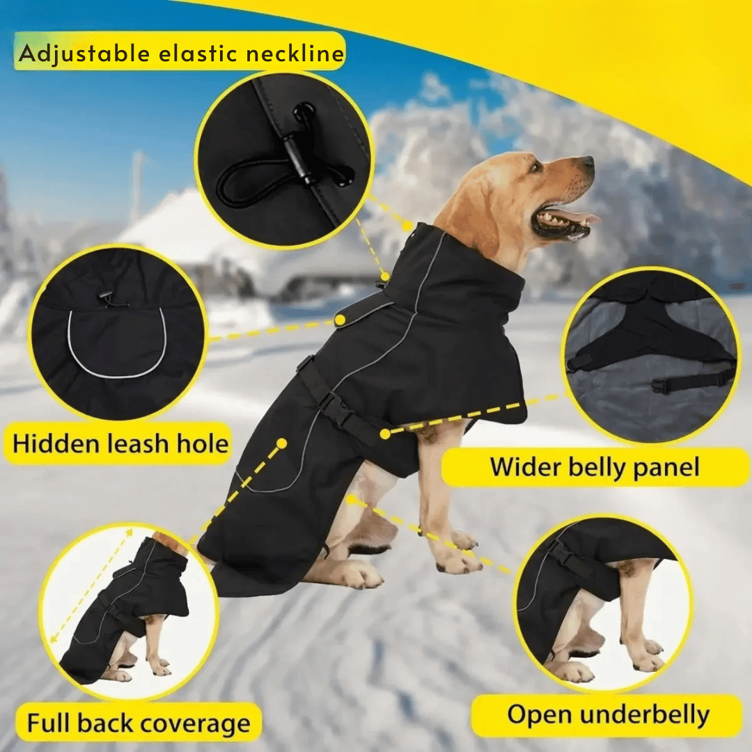 Insulated Dog Winter Coat