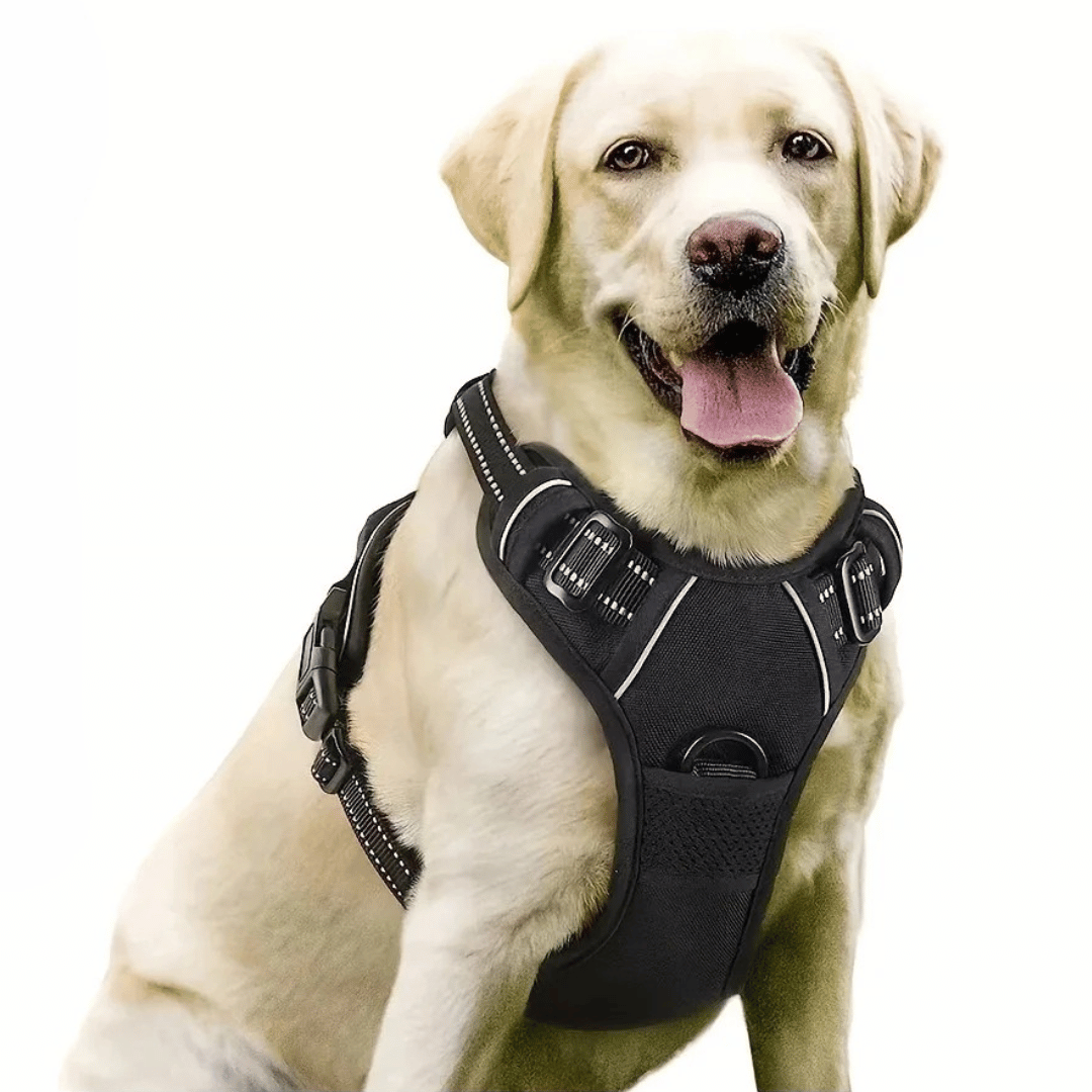 Puppy Walking Harness Reflective Safety Straps - Pupporia