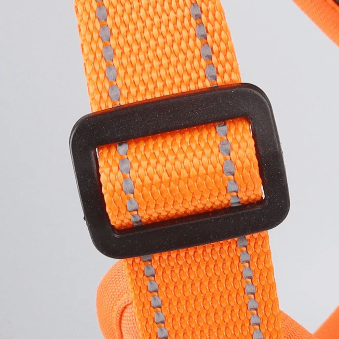 Puppy Training Harness Reflective Padded Vest