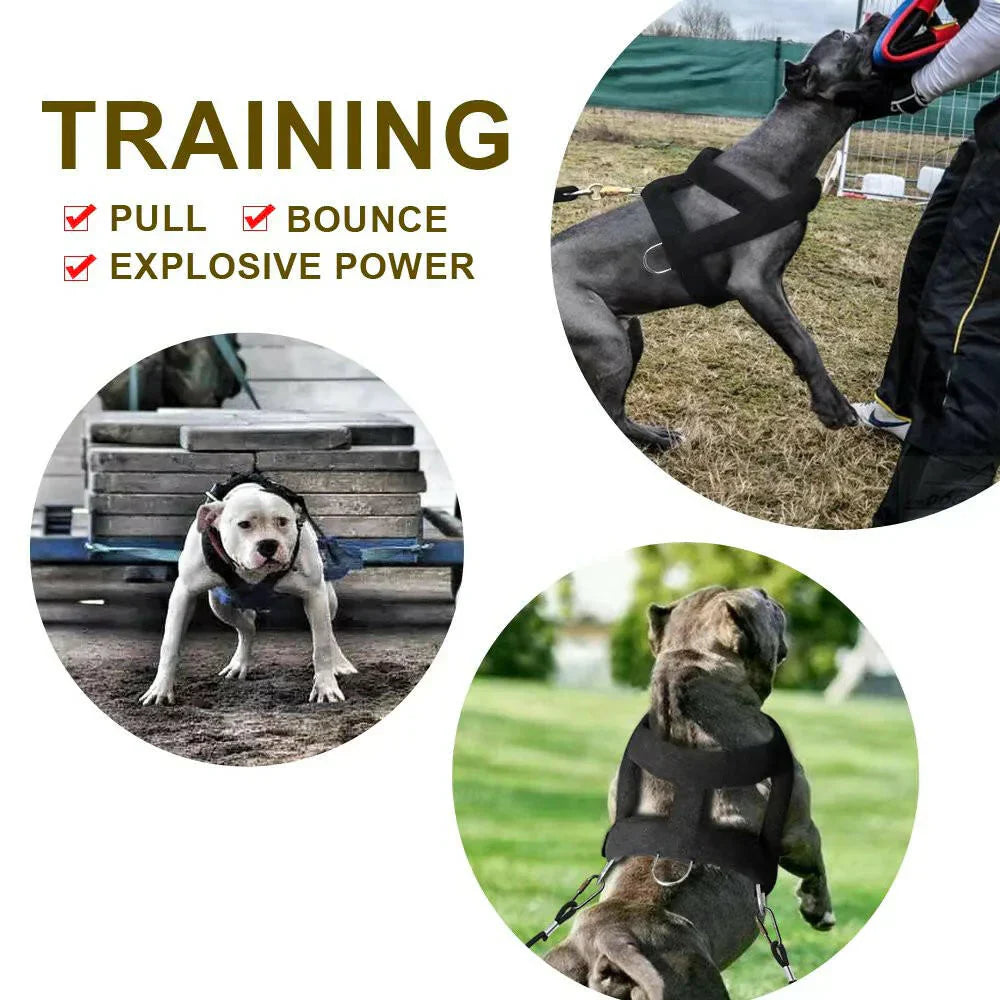 Tough Dog Pulling Harness Padded Support