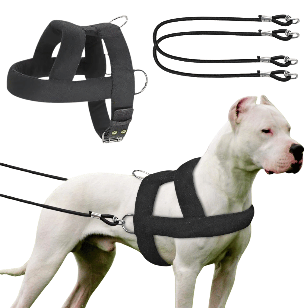 Tough Dog Pulling Harness Padded Support