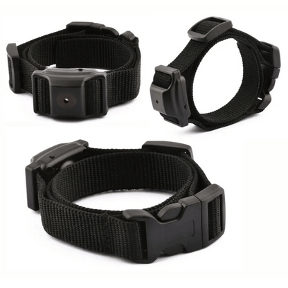 Dog Anti Bark Training Collar Small Pets