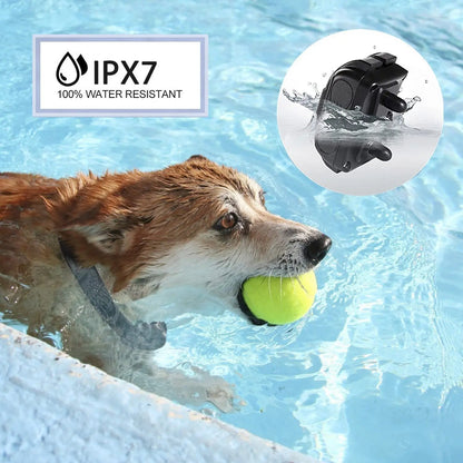 Rechargeable Long Range Dog Training Collar